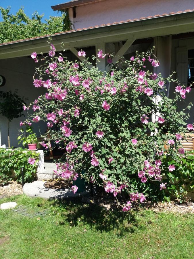 Les Eygletieres Bed & Breakfast Bourriot-Bergonce Luaran gambar