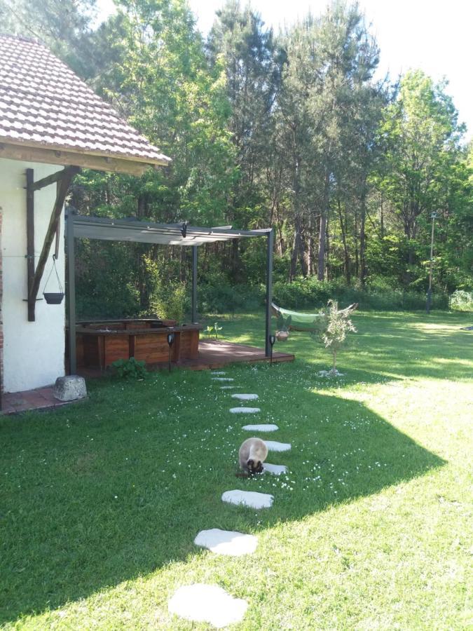 Les Eygletieres Bed & Breakfast Bourriot-Bergonce Luaran gambar