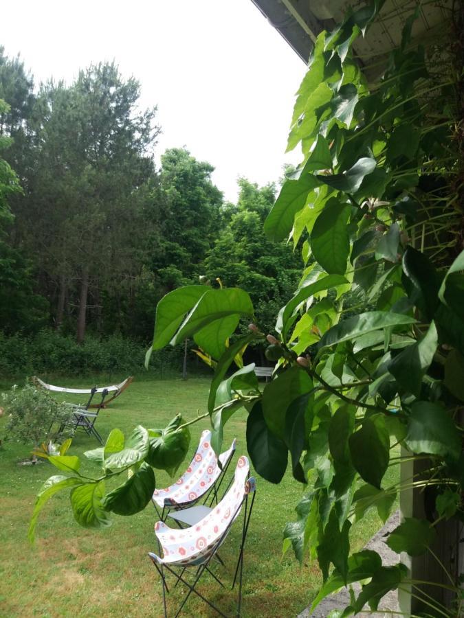 Les Eygletieres Bed & Breakfast Bourriot-Bergonce Luaran gambar